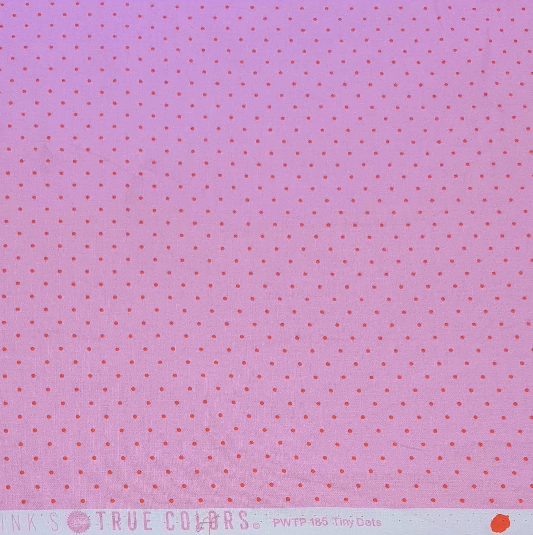 122164834352860913