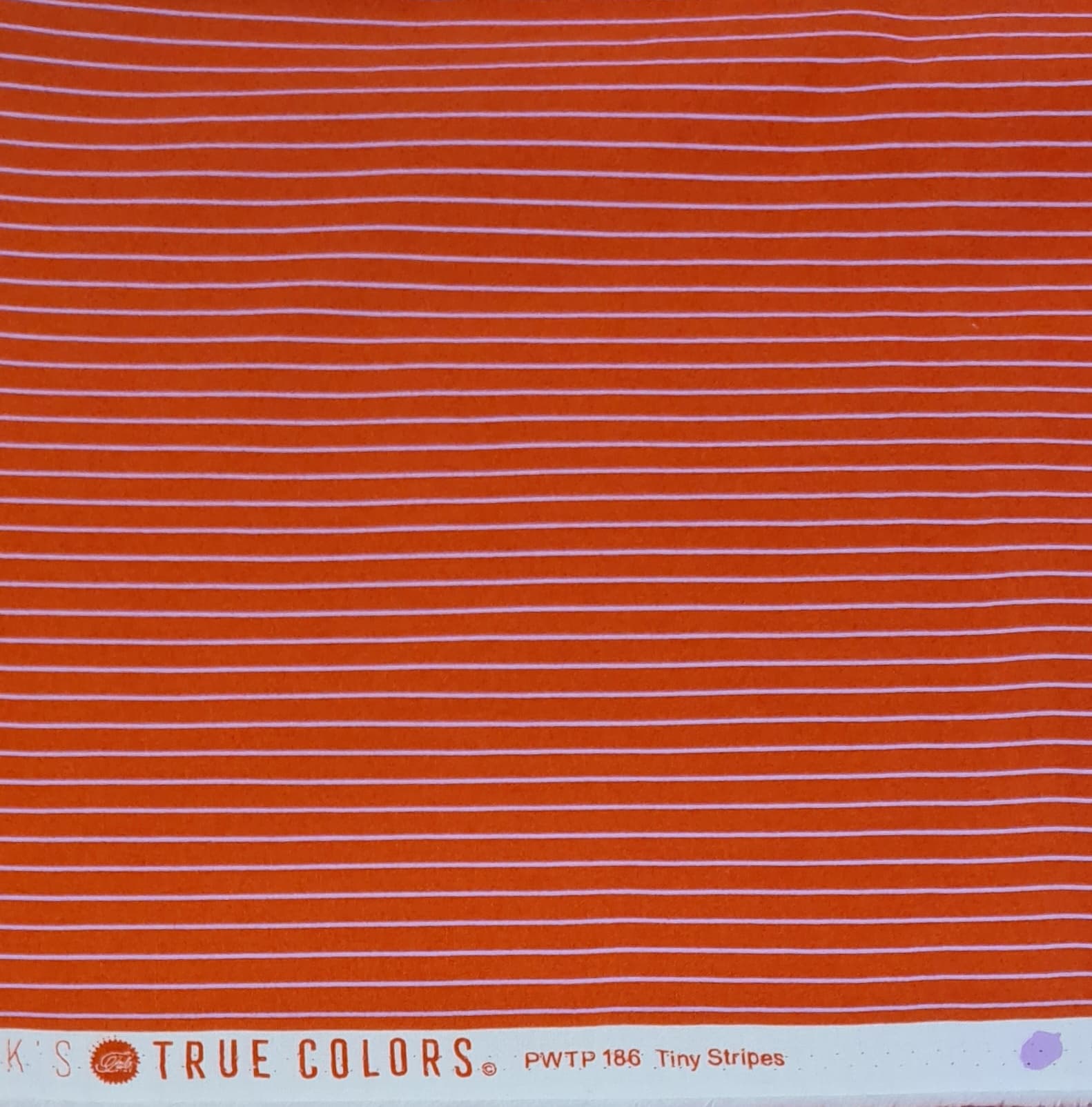 122164835660860913